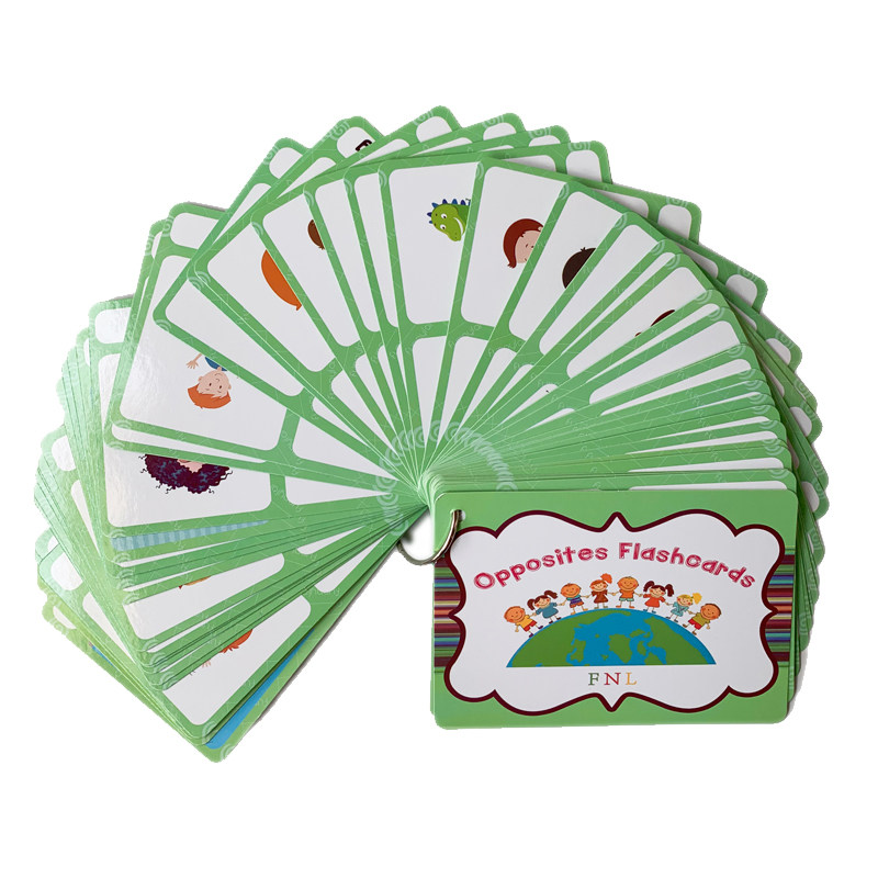 Kids Toys China - 100 cartes mémoire sur les groupes