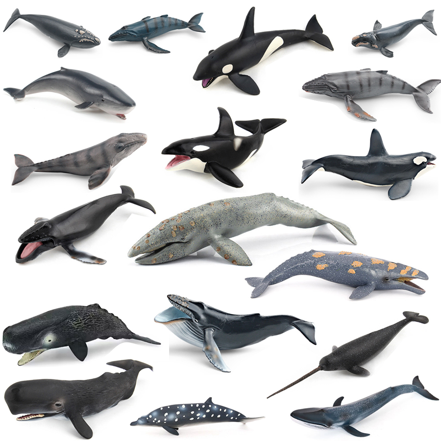 Figurines Réalistes de Baleine - Kids Toys China avis et prix