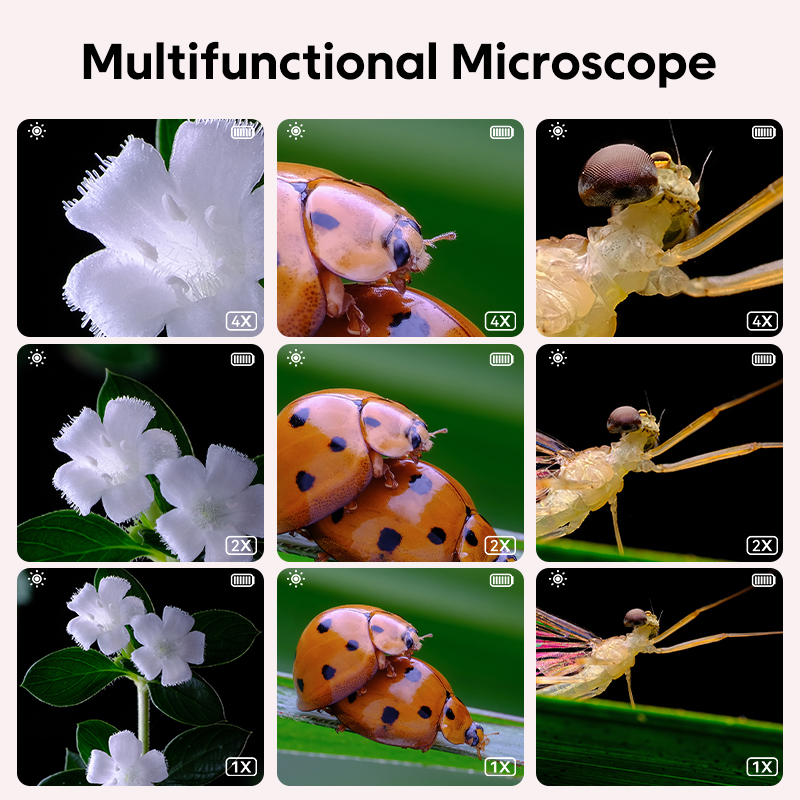 Mini Microscope optique pour e - Microscope Kids Science avis et prix