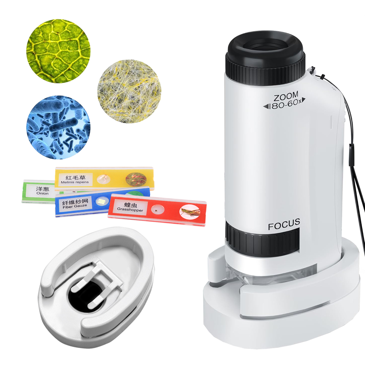 Kits de jouets portables pour  - Microscope Kids Science avis et prix